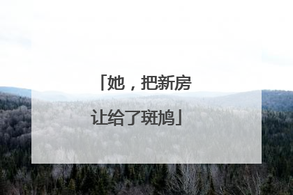 她，把新房让给了斑鸠