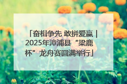 奋楫争先 敢拼爱赢｜2025年漳浦县“梁鹿杯”龙舟赛圆满举行