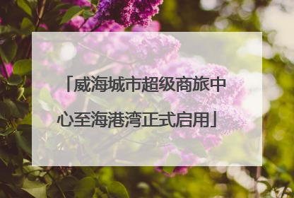 威海城市超级商旅中心至海港湾正式启用