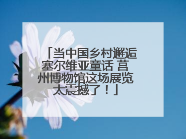 当中国乡村邂逅塞尔维亚童话 莒州博物馆这场展览太震撼了！