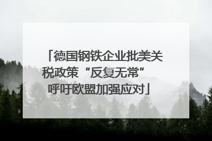 德国钢铁企业批美关税政策“反复无常” 呼吁欧盟加强应对