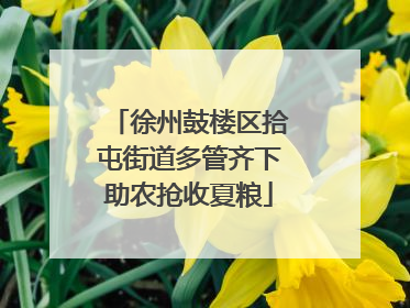 徐州鼓楼区拾屯街道多管齐下助农抢收夏粮
