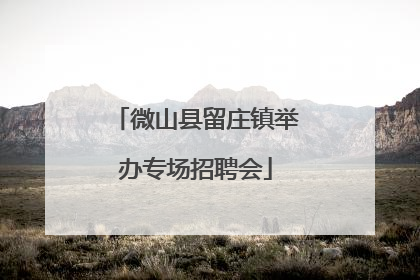 微山县留庄镇举办专场招聘会