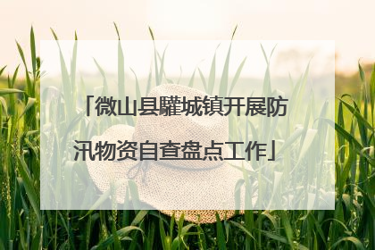 微山县驩城镇开展防汛物资自查盘点工作