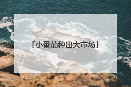 小番茄种出大市场