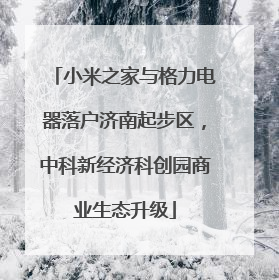 小米之家与格力电器落户济南起步区，中科新经济科创园商业生态升级