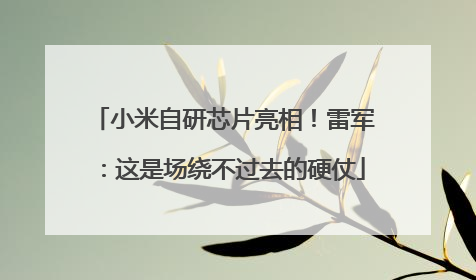 小米自研芯片亮相！雷军：这是场绕不过去的硬仗