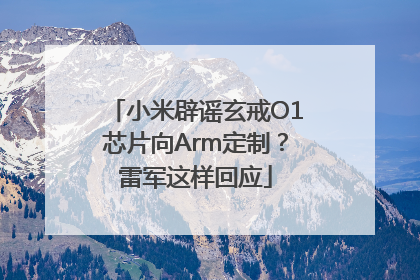 小米辟谣玄戒O1芯片向Arm定制？雷军这样回应