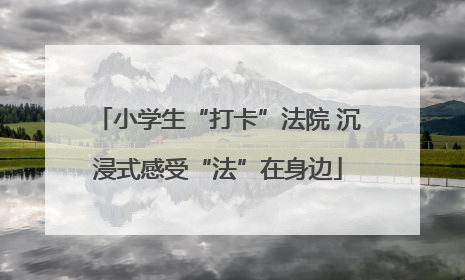 小学生“打卡”法院 沉浸式感受“法”在身边