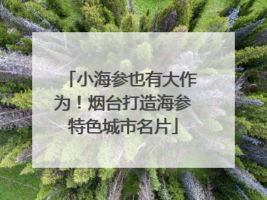 小海参也有大作为！烟台打造海参特色城市名片