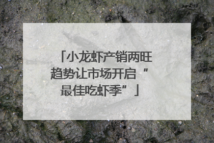 小龙虾产销两旺趋势让市场开启“最佳吃虾季”