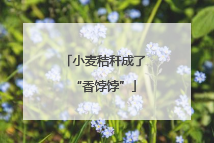 小麦秸秆成了“香饽饽”
