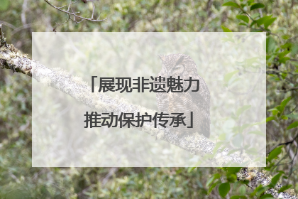 展现非遗魅力 推动保护传承