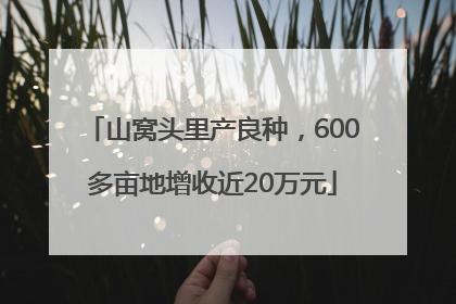 山窝头里产良种，600多亩地增收近20万元