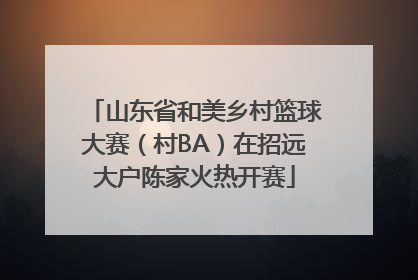 山东省和美乡村篮球大赛（村BA）在招远大户陈家火热开赛