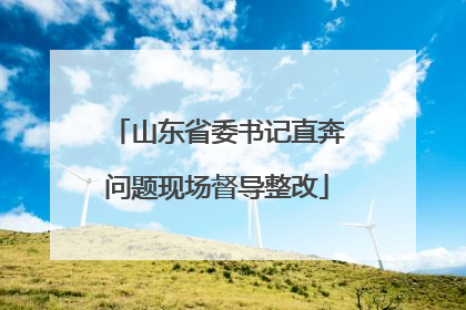 山东省委书记直奔问题现场督导整改