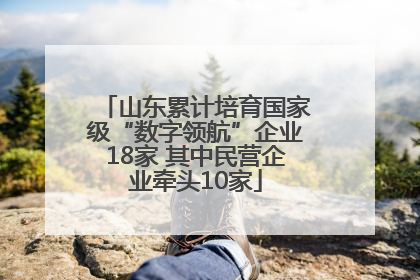 山东累计培育国家级“数字领航”企业18家 其中民营企业牵头10家