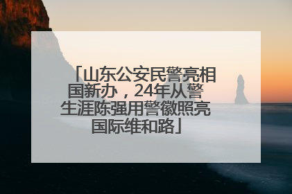 山东公安民警亮相国新办，24年从警生涯陈强用警徽照亮国际维和路
