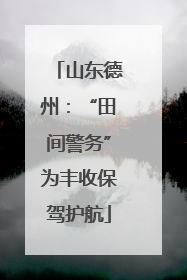 山东德州：“田间警务”为丰收保驾护航