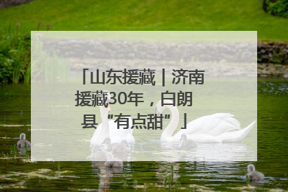 山东援藏｜济南援藏30年，白朗县“有点甜”