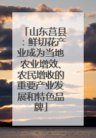 山东莒县：鲜切花产业成为当地农业增效、农民增收的重要产业发展和特色品牌