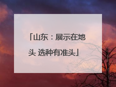 山东：展示在地头 选种有准头