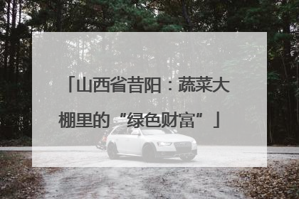 山西省昔阳：蔬菜大棚里的“绿色财富”