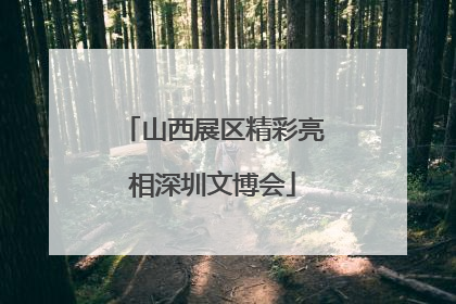 山西展区精彩亮相深圳文博会