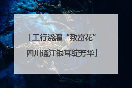 工行浇灌“致富花” 四川通江银耳绽芳华