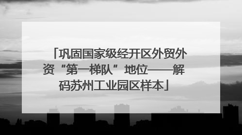 巩固国家级经开区外贸外资“第一梯队”地位——解码苏州工业园区样本