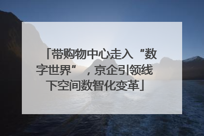 带购物中心走入“数字世界”，京企引领线下空间数智化变革
