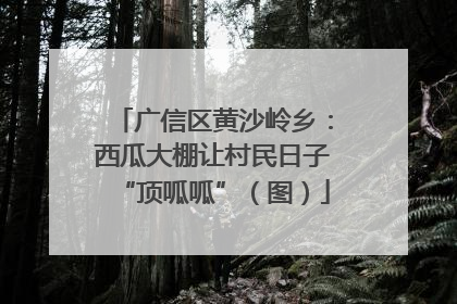 广信区黄沙岭乡：西瓜大棚让村民日子“顶呱呱”（图）