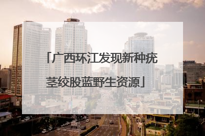 广西环江发现新种疣茎绞股蓝野生资源
