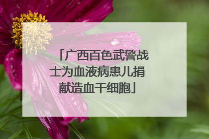 广西百色武警战士为血液病患儿捐献造血干细胞