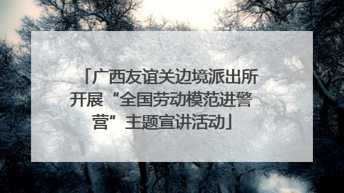广西友谊关边境派出所开展“全国劳动模范进警营”主题宣讲活动