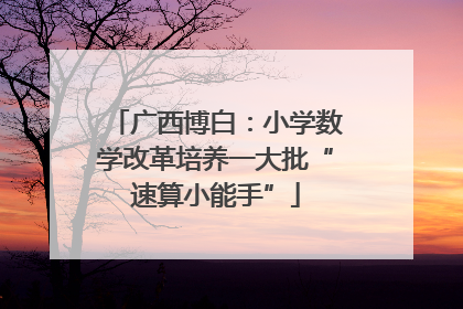 广西博白：小学数学改革培养一大批“速算小能手”