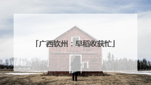 广西钦州：早稻收获忙