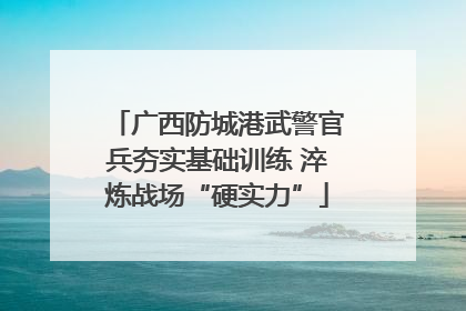 广西防城港武警官兵夯实基础训练 淬炼战场“硬实力”