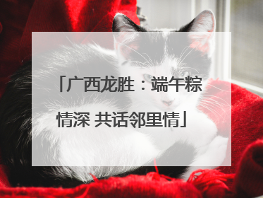 广西龙胜：端午粽情深 共话邻里情