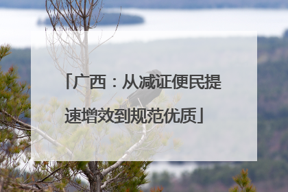 广西：从减证便民提速增效到规范优质