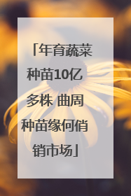 年育蔬菜种苗10亿多株 曲周种苗缘何俏销市场