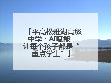 平高松雅湖高级中学：AI赋能，让每个孩子都是“重点学生”