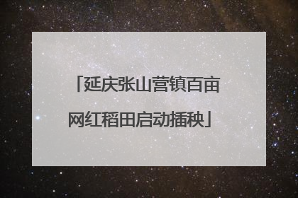 延庆张山营镇百亩网红稻田启动插秧
