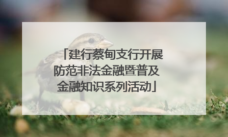 建行蔡甸支行开展防范非法金融暨普及金融知识系列活动