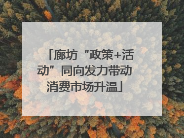 廊坊“政策+活动”同向发力带动消费市场升温