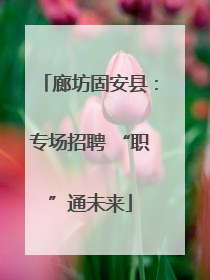 廊坊固安县：专场招聘 “职”通未来