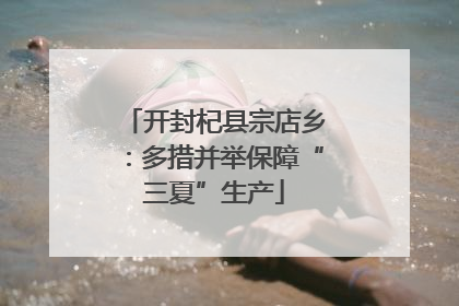 开封杞县宗店乡：多措并举保障“三夏”生产
