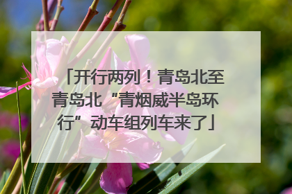 开行两列！青岛北至青岛北“青烟威半岛环行”动车组列车来了