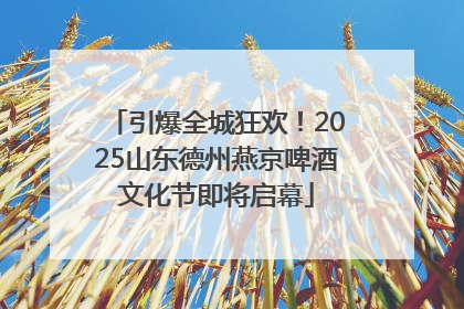 引爆全城狂欢！2025山东德州燕京啤酒文化节即将启幕