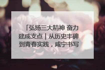 弘扬三大精神 奋力建成支点｜从历史丰碑到青春实践，咸宁书写精神传承新篇章